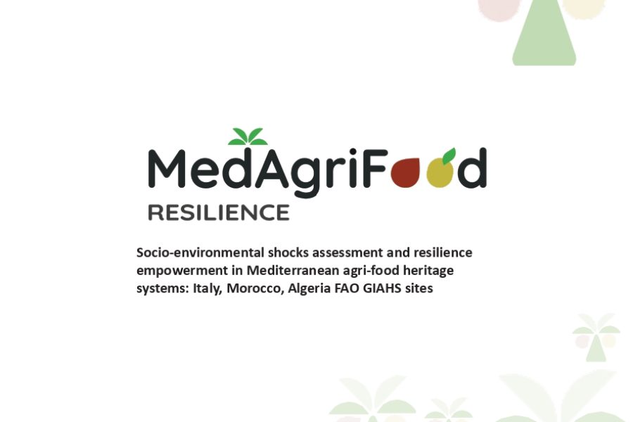The MedAgriFood Resilience flyer in English and Italian is ready to be downloaded